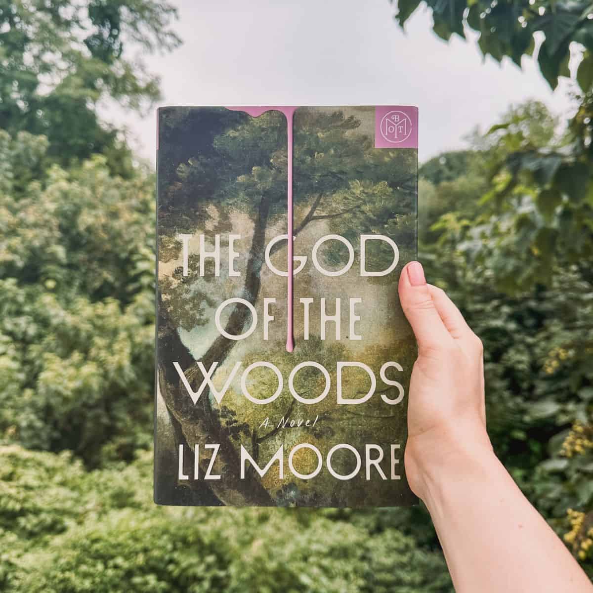 the god of the woods by liz moore.