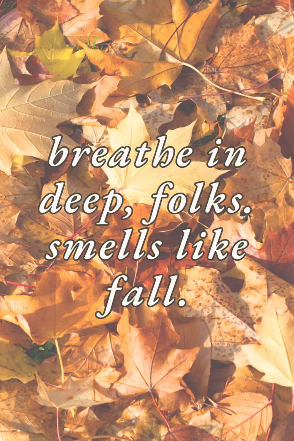 breathe in deep, folks. smells like fall. - taylor doose on gilmore girls.