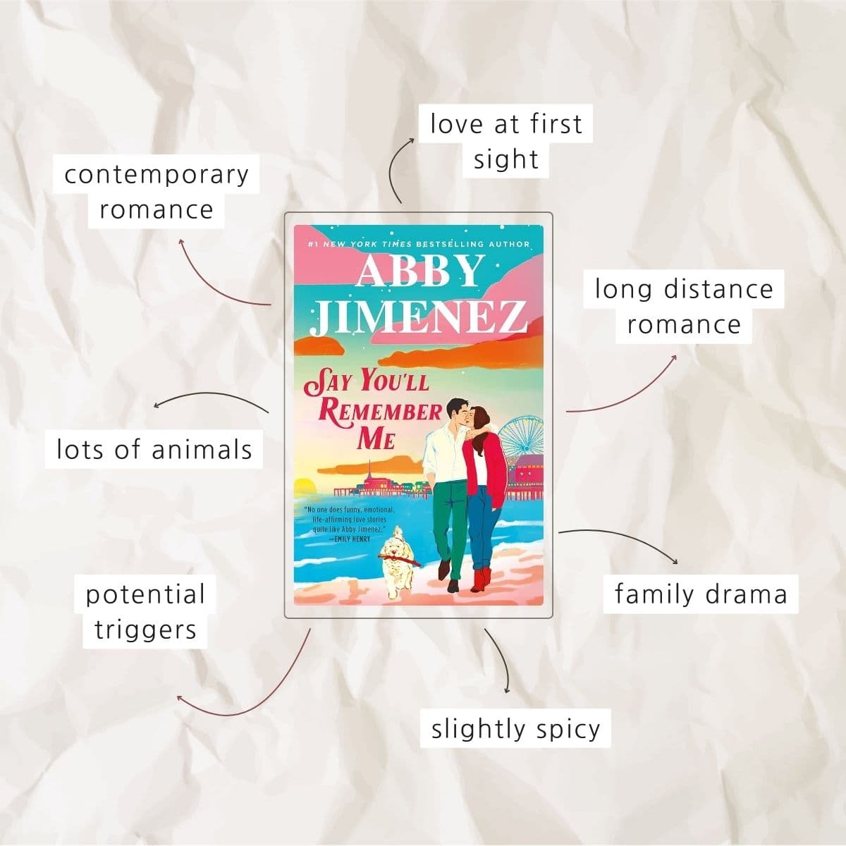 Infographic book review of say you'll Remember Me by Abby Jimenez.