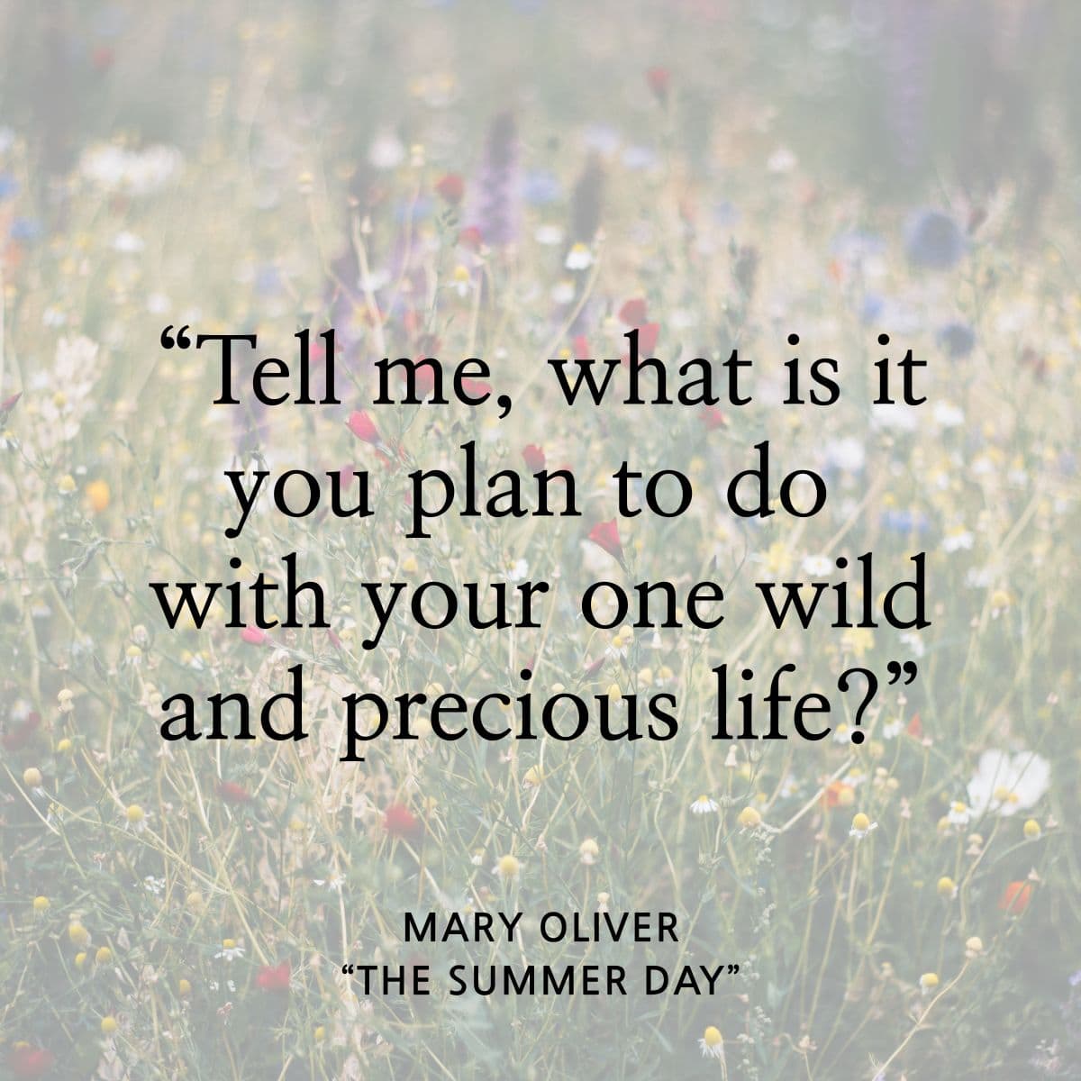 Tell me what is it you plan to do with your one wild and precious life? Mary Oliver. The summer day.